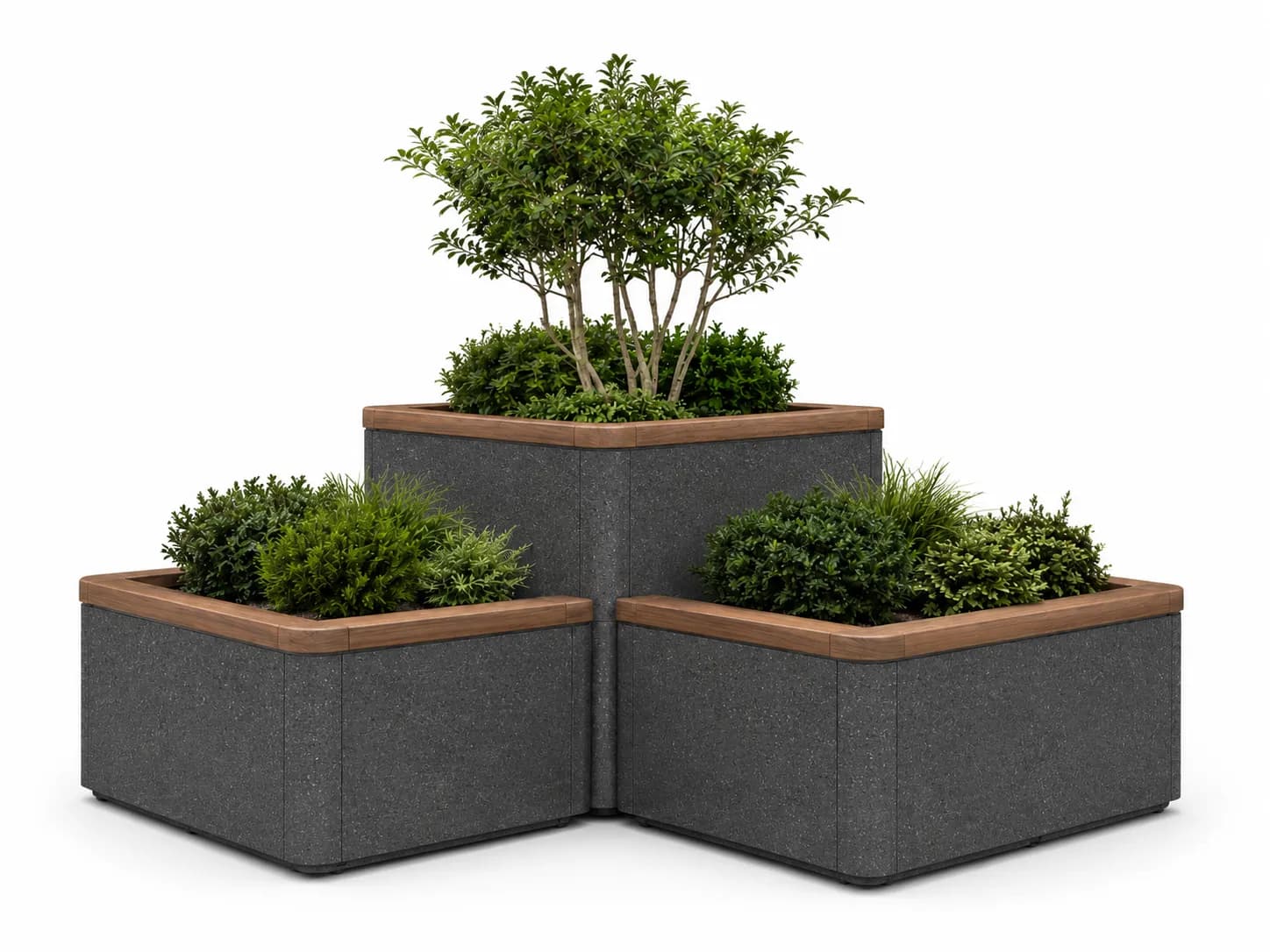 Caven Trio Planter — 3/4 perspective — basalt concrete + sapelli