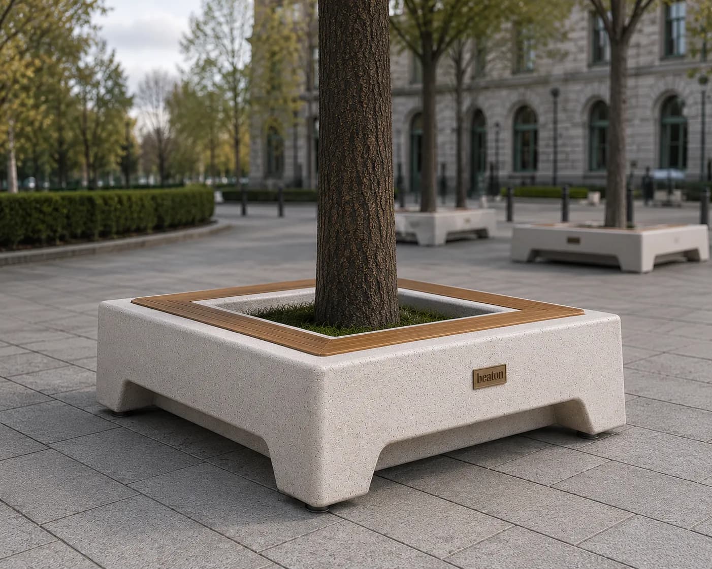 Caven Tree Bench — in context — off-white concrete + iroko